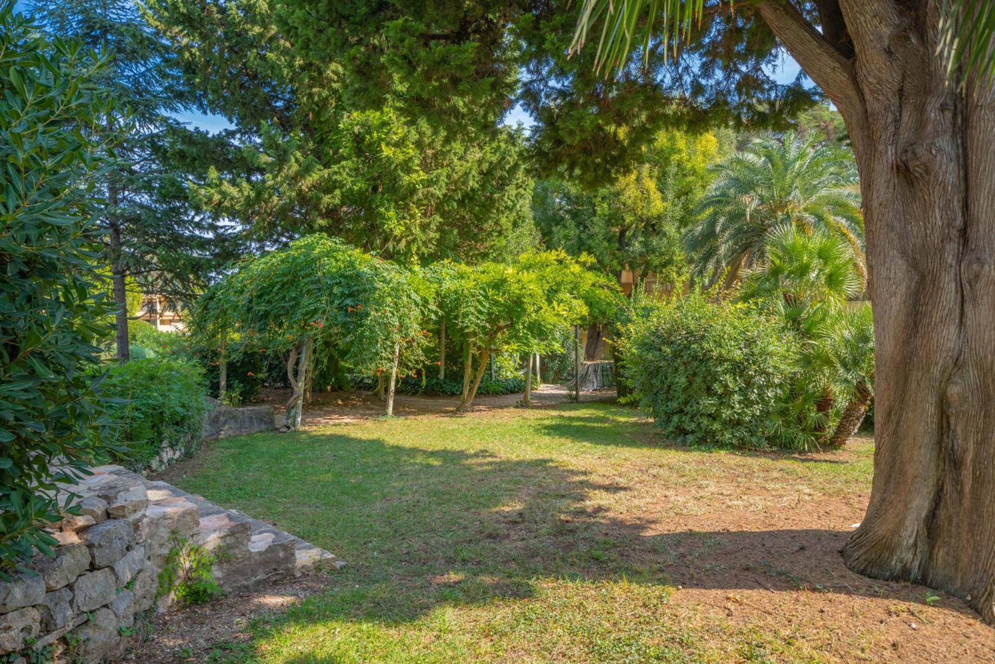 Les 15 Pins & La Mer -Your Green Getaway Near Sea & Beach Antibes Exterior foto