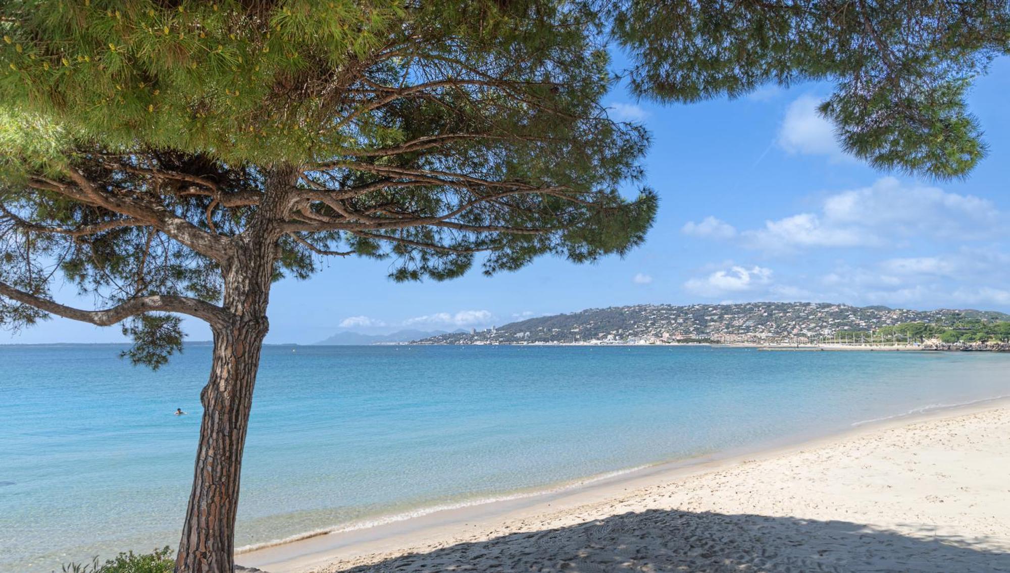 Les 15 Pins & La Mer -Your Green Getaway Near Sea & Beach Antibes Exterior foto