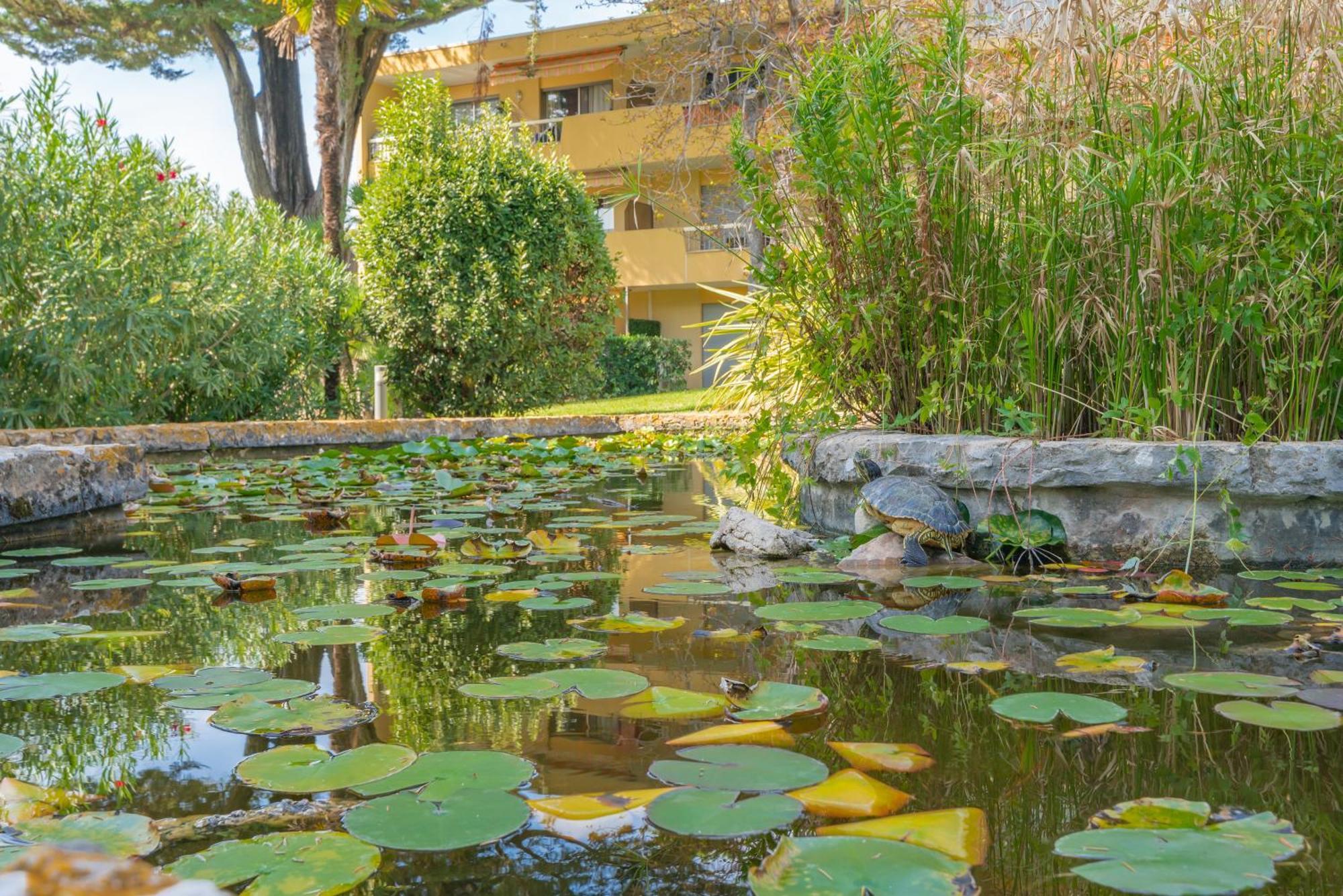 Les 15 Pins & La Mer -Your Green Getaway Near Sea & Beach Antibes Exterior foto
